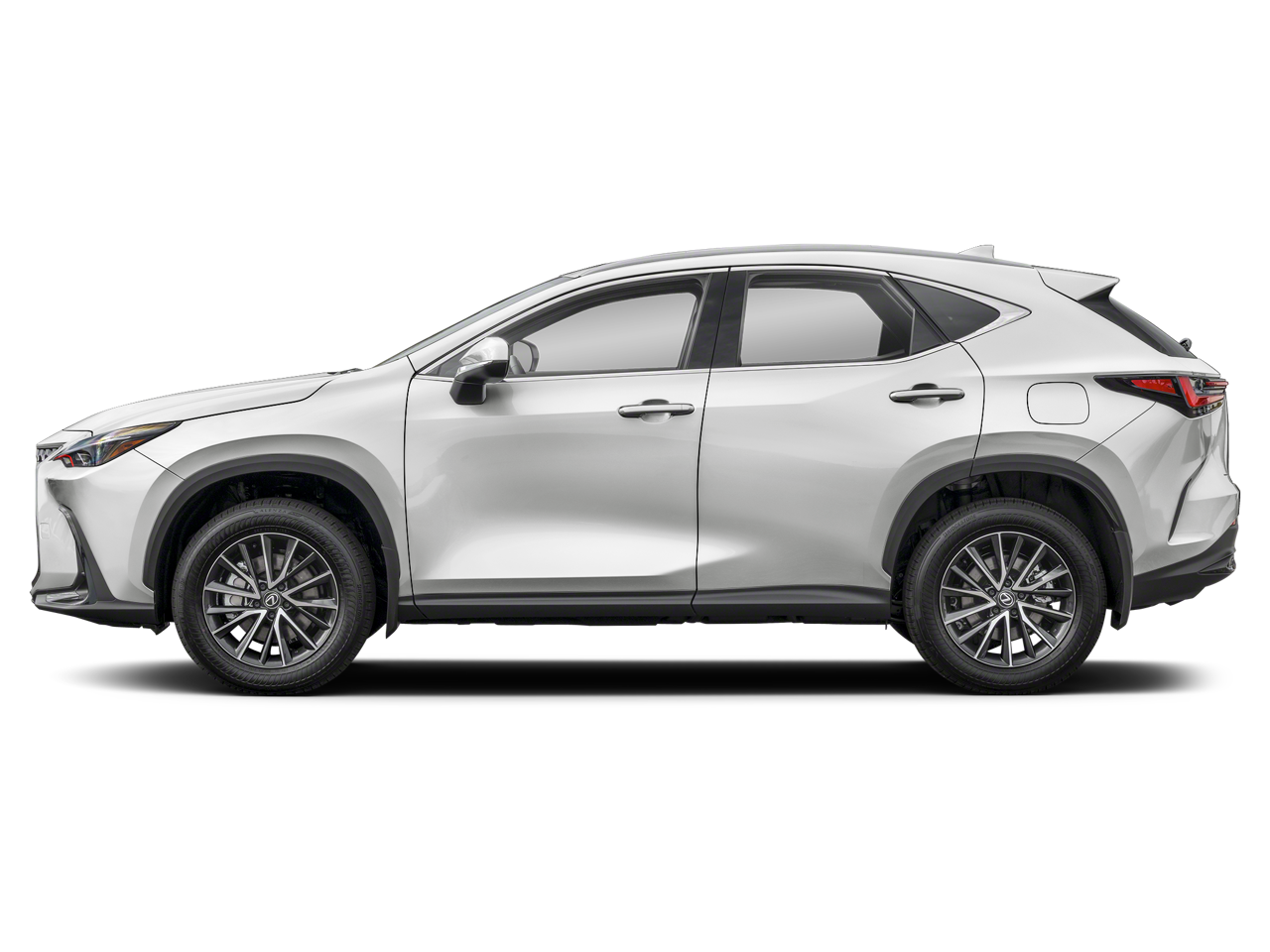 2024 Lexus NX 350h Premium photo 2