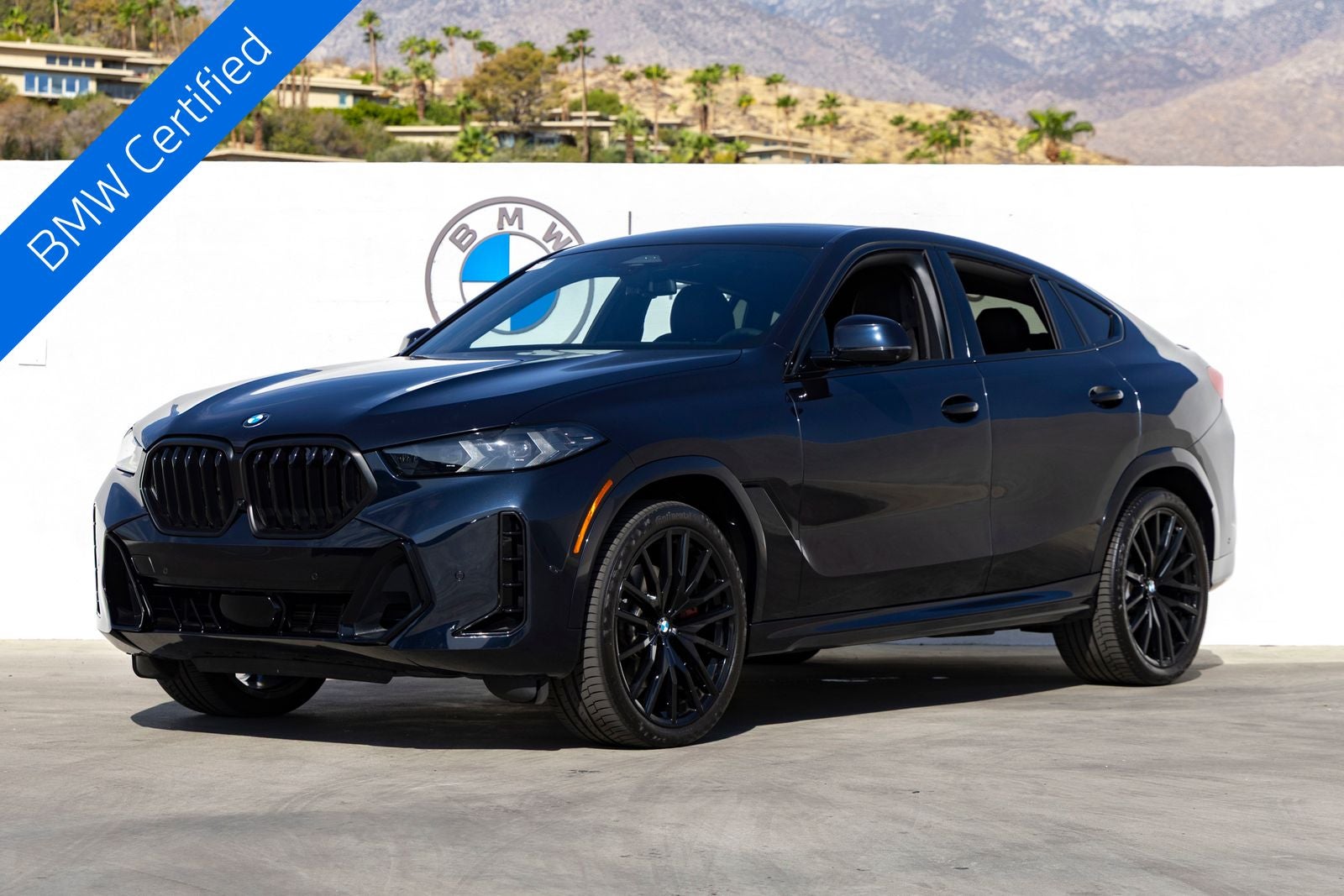 2024 BMW X6