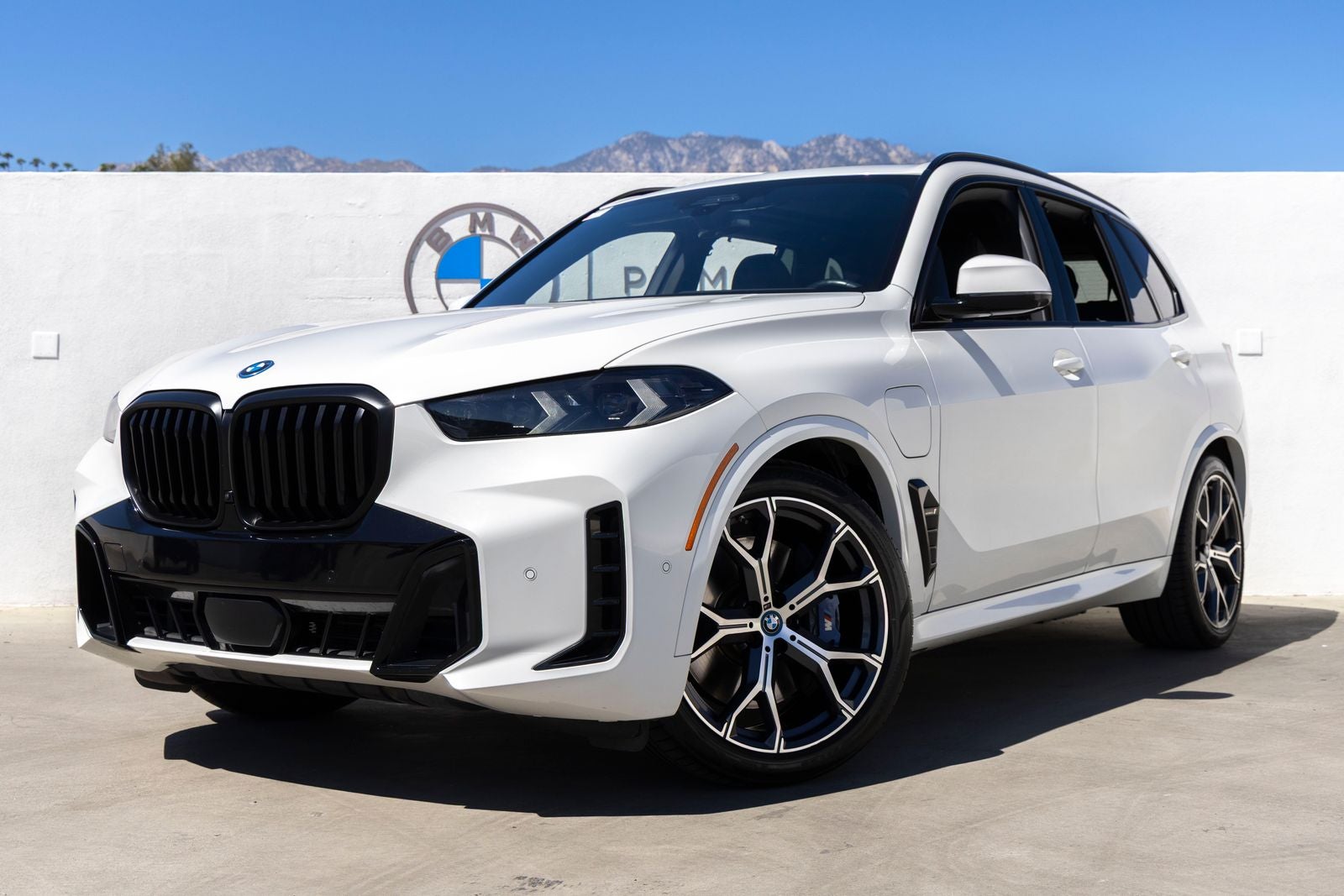 2024 BMW X5 xDrive50e