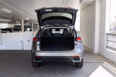 2020 Lexus NX 300h