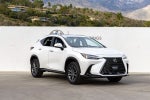 2024 Lexus NX 350h Premium
