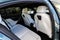 2027 BMW i5 eDrive40