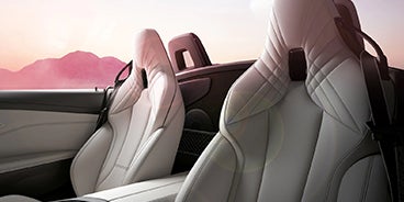 BMW Z4 Roadster Interior Palm Springs CA